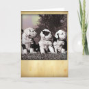 Zoek naar herdershonden kaarten Puppies