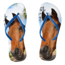 Zoek naar paard schoenen Merrie