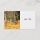 Recherche de arbre de tremble Automne