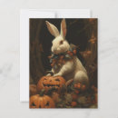 Recherche de lapin effrayant cartes postales Mignon