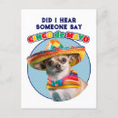 Recherche de sombreros cartes postales Fête mexicaine