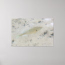 Zoek naar vis kunst Water