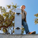 Recherche de skyline skateboards Bleu