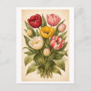 Zoek naar tulp vintage briefkaarten Botanisch