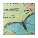 Recherche de ailes carreaux Insecte