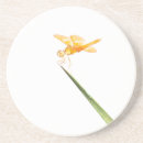 Recherche de ambre dessous de verres Libellule