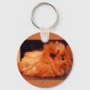 Recherche de pelucheux porteclés Velu