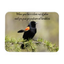 Recherche de mauvais les magnets Humour