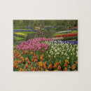 Zoek naar keukenhof puzzels Tulp