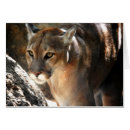 Recherche de poma Faune