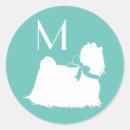 Recherche de maltais Silhouette