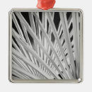 Recherche de motif palmier ornements Noir