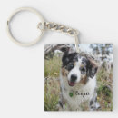 Recherche de australian shepherd porteclés Animal