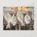 Recherche de vue mer cartes postales Image couleur