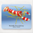 Recherche de randall Aquarium