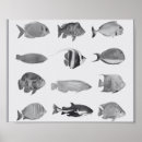 Recherche de poisson art Littoral