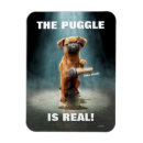 Recherche de ton musique magnets Humour