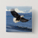 Recherche de prédateur badges Patriotique