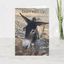 Recherche de têtu vœux cartes Encouragement