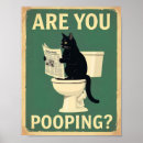 Zoek naar grappige zwarte kat posters Kitten