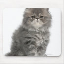 Recherche de mois tapis souris Animaux