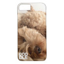 Recherche de de caniche iphone coques Labradoodle