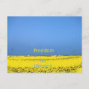 Recherche de liberté cartes postales Déclaration