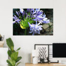 Zoek naar nijl posters Fotografie