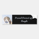Recherche de cute voiture autocollants Dog