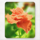 Recherche de fleurs romantiques tapis souris Floral