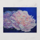 Recherche de poney de peinture cartes postales Floral