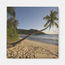 Recherche de empreinte du pied magnets Plage