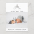 Recherche de photo de lapin Statistiques de naissance
