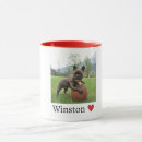 Recherche de bulldogge tasses Dogs