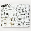 Recherche de zoologie tapis souris Anglais