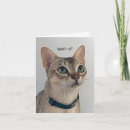 Recherche de curiosité vœux cartes Chat