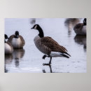 Zoek naar voeten posters Winter