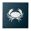 Recherche de décor de de plage carreaux Moderne