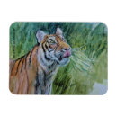 Recherche de mis en danger magnets Faune
