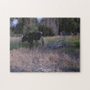 Recherche de longhorn puzzles Pâturage