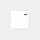 Recherche de ostrich cartes postales Animaux