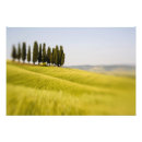 Recherche de arbres de point Nature