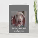 Zoek naar ophaling kaarten Hond