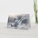 Recherche de cygne muet vœux cartes Sauvagine