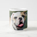 Recherche de anglais tasses Animal de compagnie