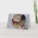 Zoek naar mas kaarten Kat