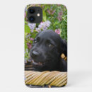 Zoek naar black labrador iphone hoesjes Puppy