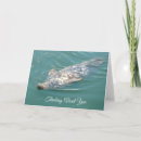 Recherche de phoque vœux cartes Océan