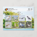 Recherche de delta cartes postales Rivière
