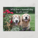 Recherche de humour scientifique cartes postales Plaisanter